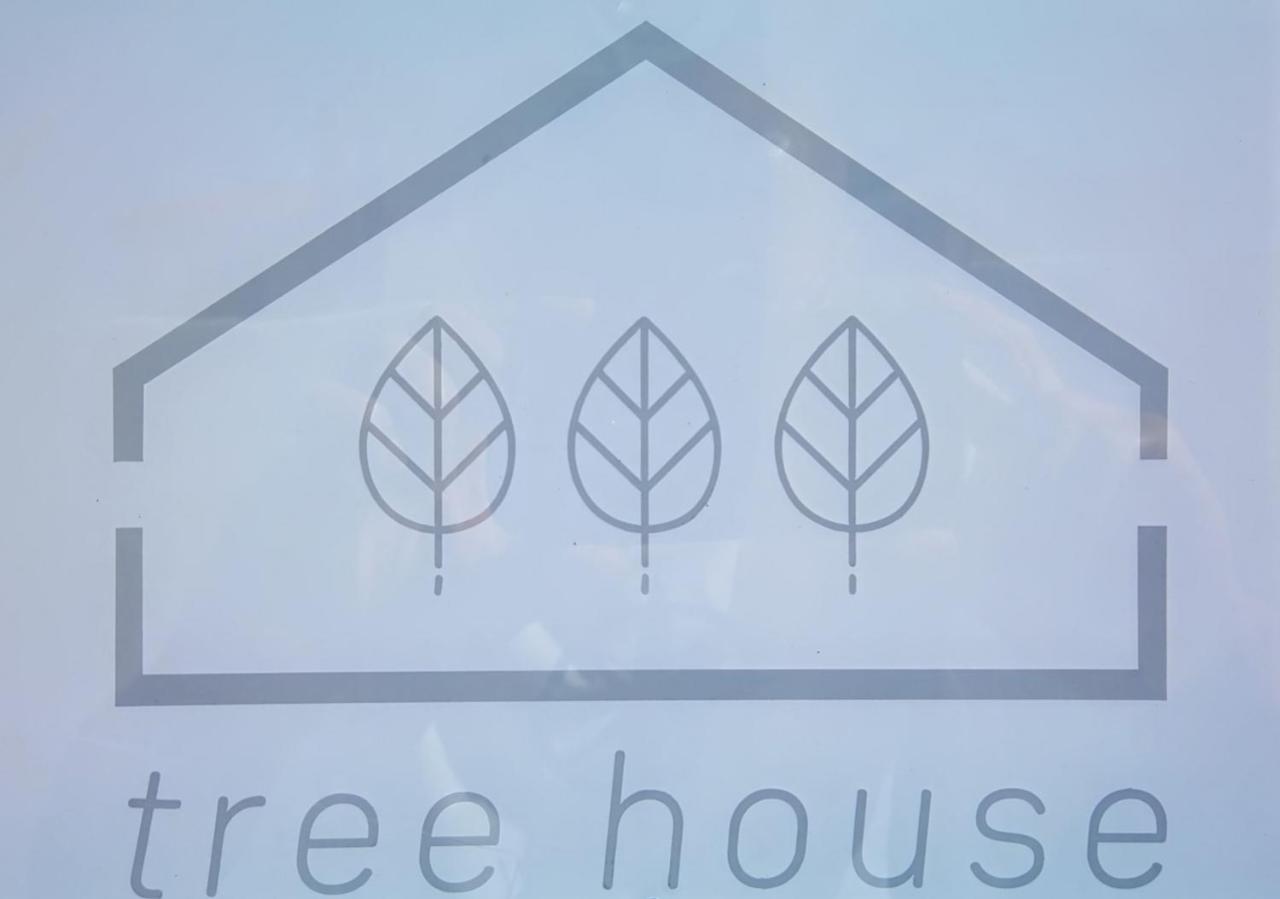 ホテル Tree House - Casa Figueira セシンブラ エクステリア 写真