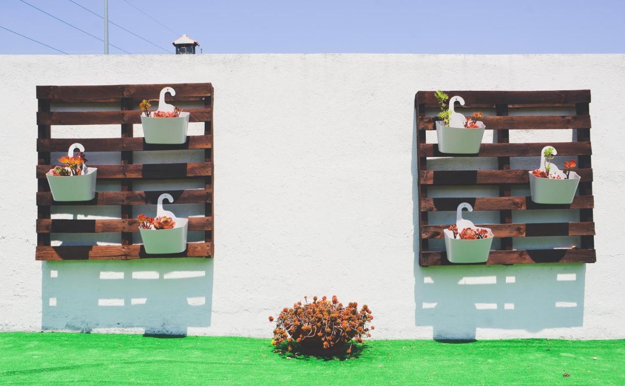ホテル Tree House - Casa Figueira セシンブラ エクステリア 写真